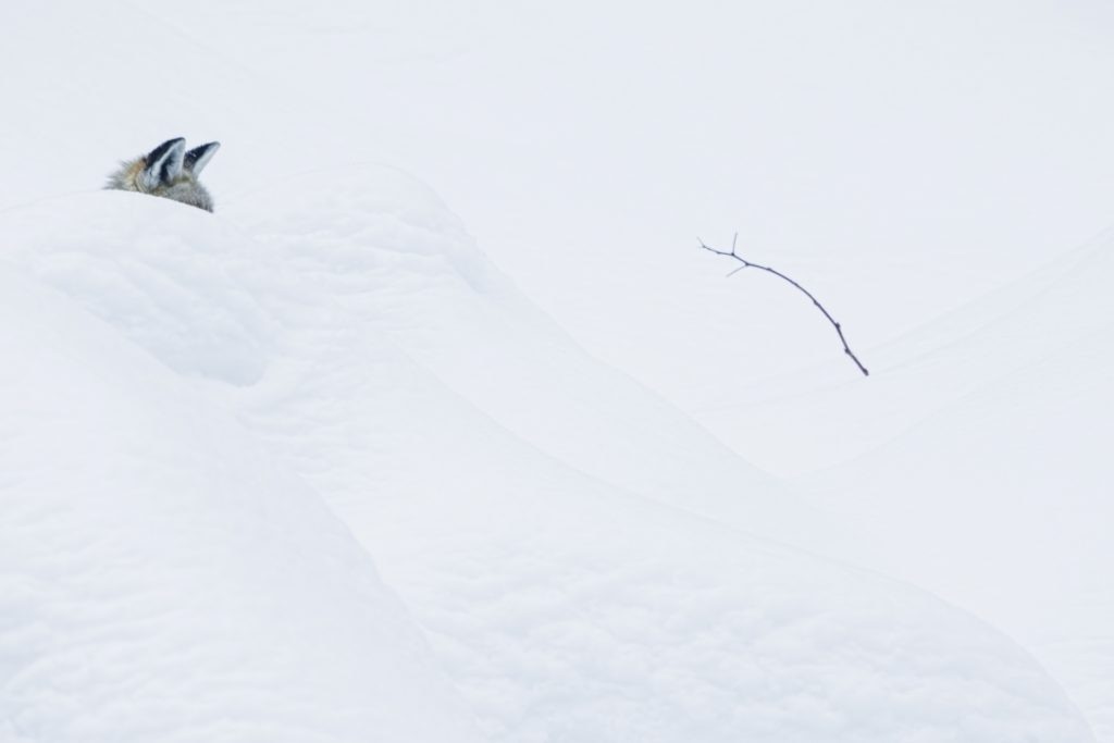 La Vedetta - Paolo Della Rocca