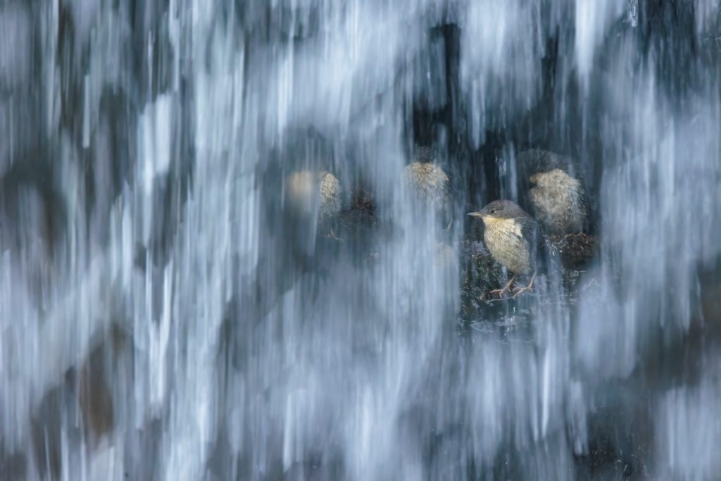La foto vincitrice, Lo squarcio - Fabrizio Stefani