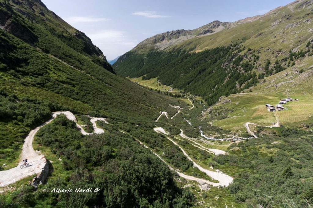 La mulattiera che sale verso gli alpeggi di Merlo e Campobugatone. Foto Alberto Nardi