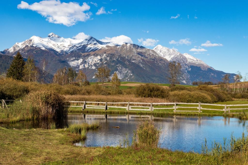 La torbiera di Fiavé in Trentino @AdobeStock