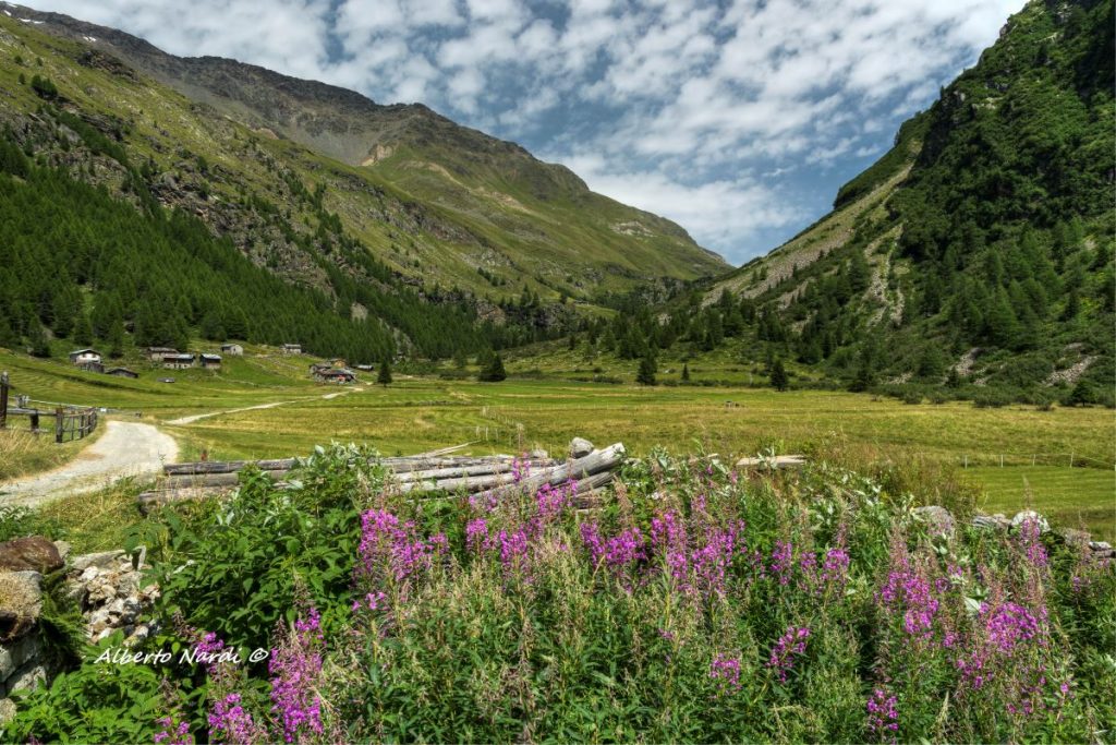 Le baite di Rezzalo. Foto Alberto Nardi