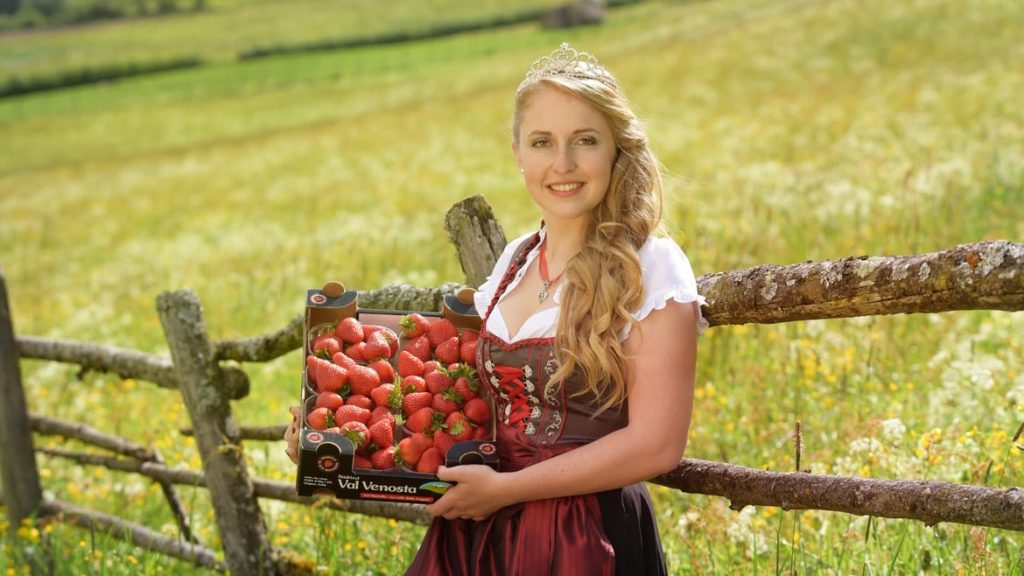 Le fragole della Val Martello