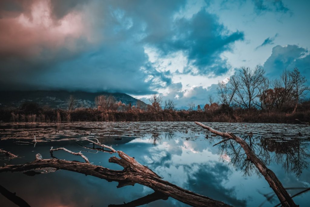 Le torbiere sono un importantissimo scrigno di biodiversità @ AdobeStock