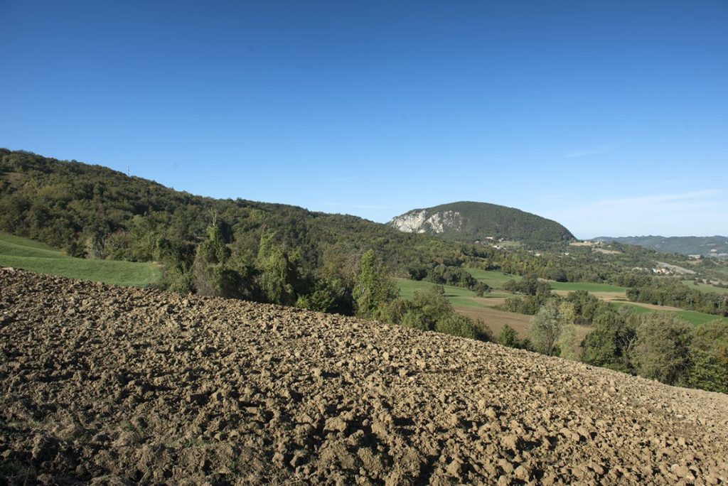 Lungo il sentiero con il Monte Valestra sullo sfondo. Foto Roberto Carnevali