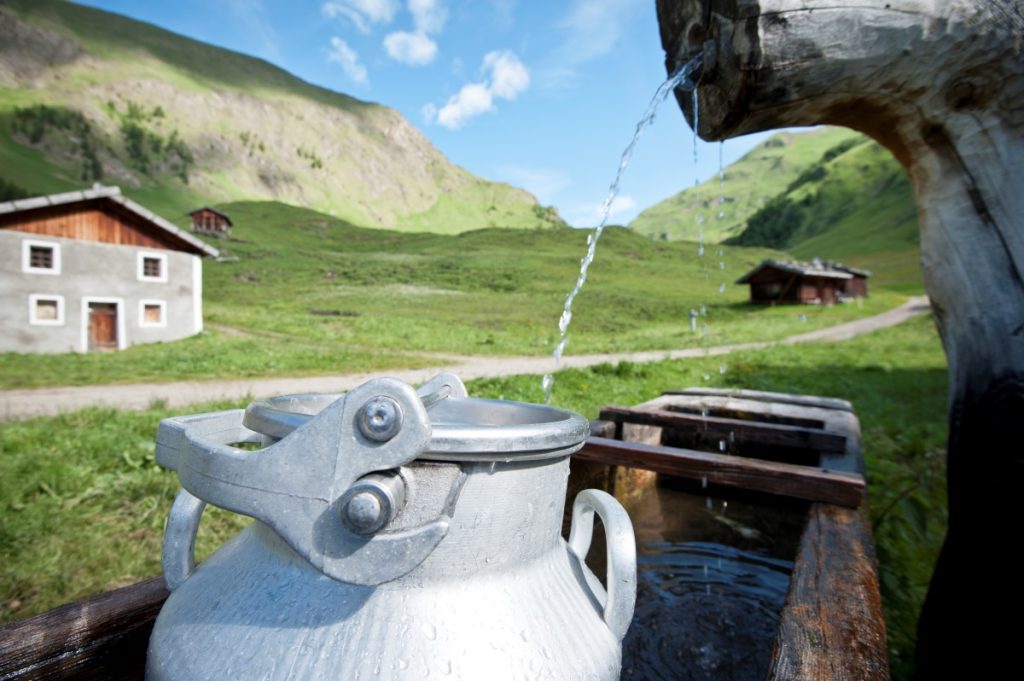 Malga Fane, Sentiero del latte @ IDM Südtirol Alex Filz