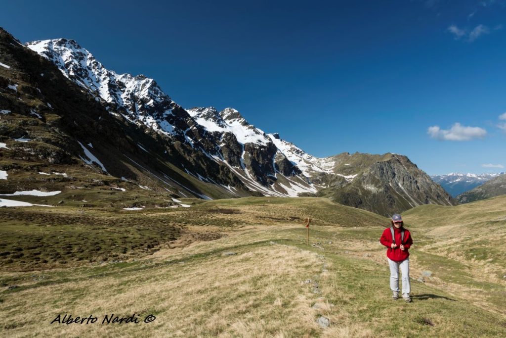 Nei pressi del Passo dell