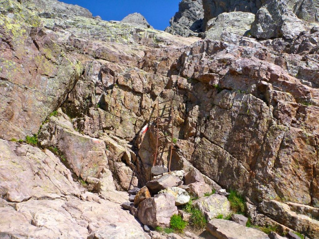 Nel Circo della Solitudine. Foto Rick McCharles