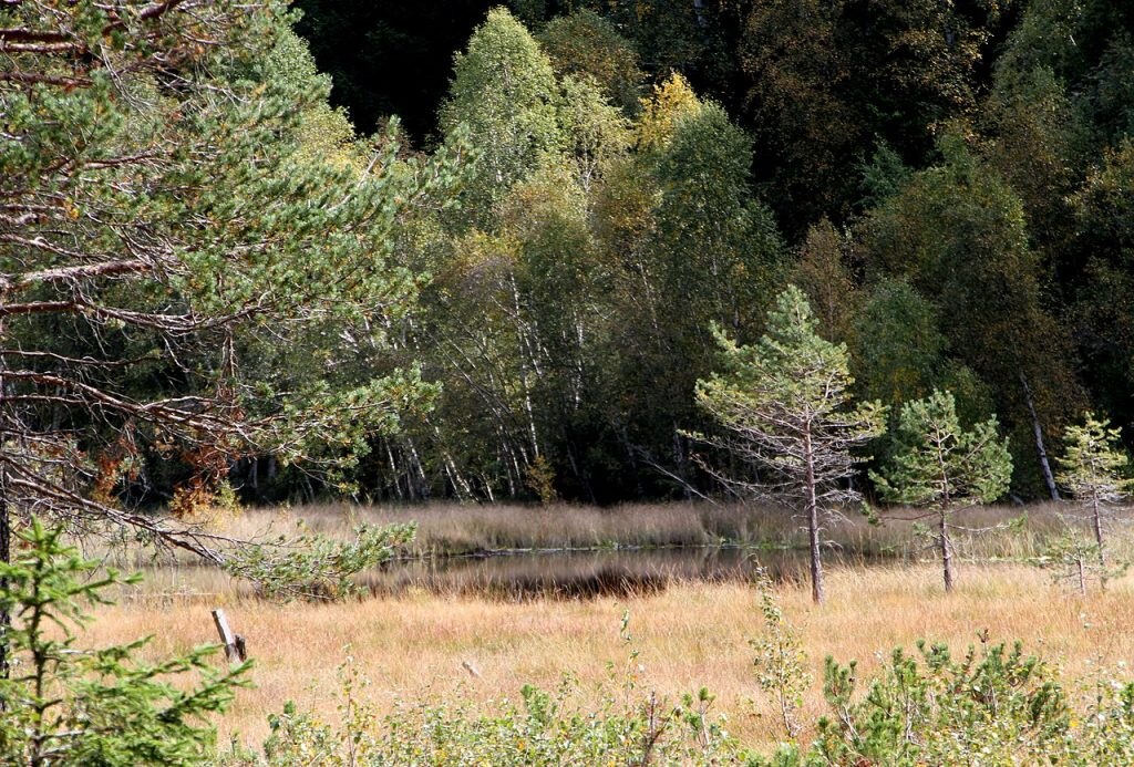 Palù Longa @ Wikimedia Commons