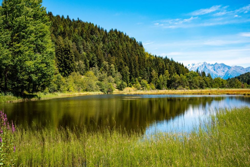 Pian di Gembro, vicino all