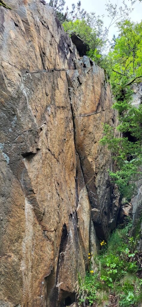 Pizzico di follia, 7a