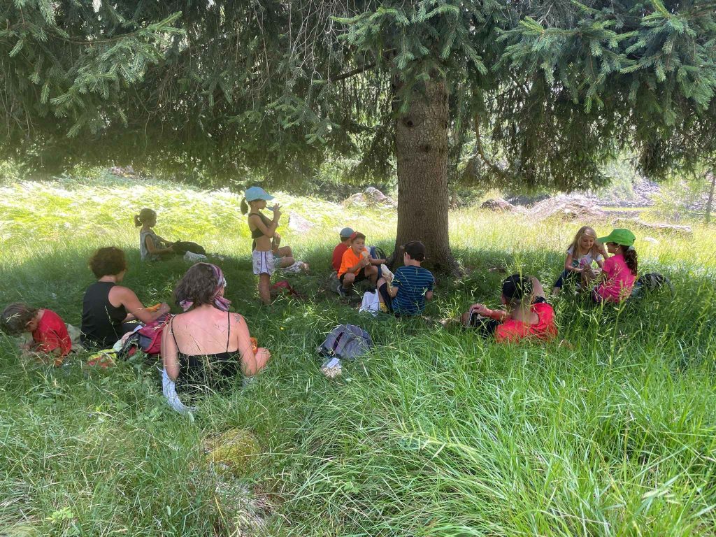 Pranzare al fresco sotto la chioma verde blu di un grande abete. Ph Michele Comi