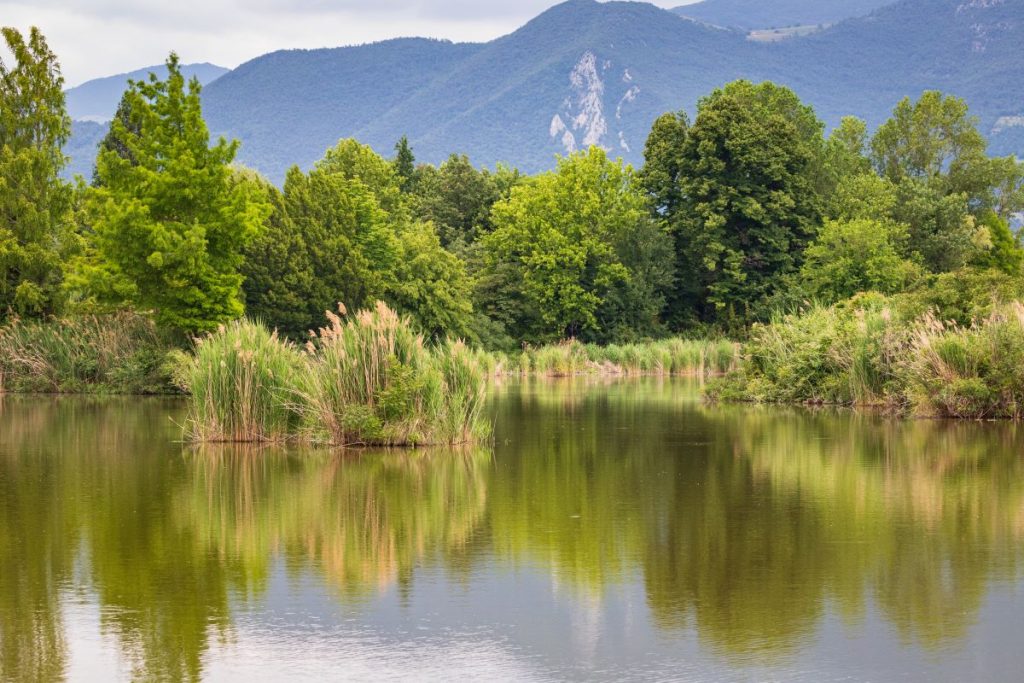Scorcio delle Torbiere del Sebino @ AdobeStock