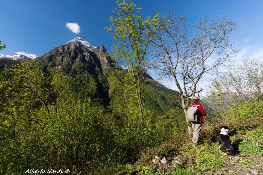 Sul sentiero che sale a Case Redorta. Foto Alberto Nardi