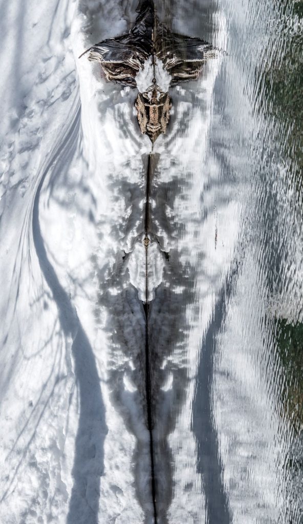 The mythological guardian of the Park - Ubaldo Franco Mantegazza