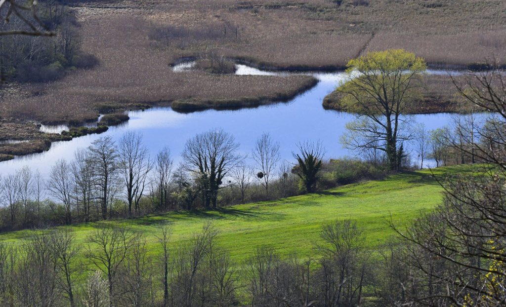 Torbiera in Valganna (VA) @Flickr Papamillo d-g.
