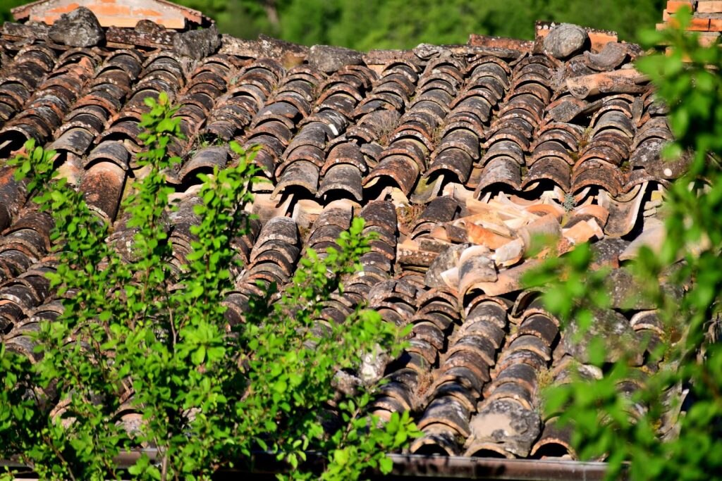 Vecchie case di Padula, foto Stefano Ardito