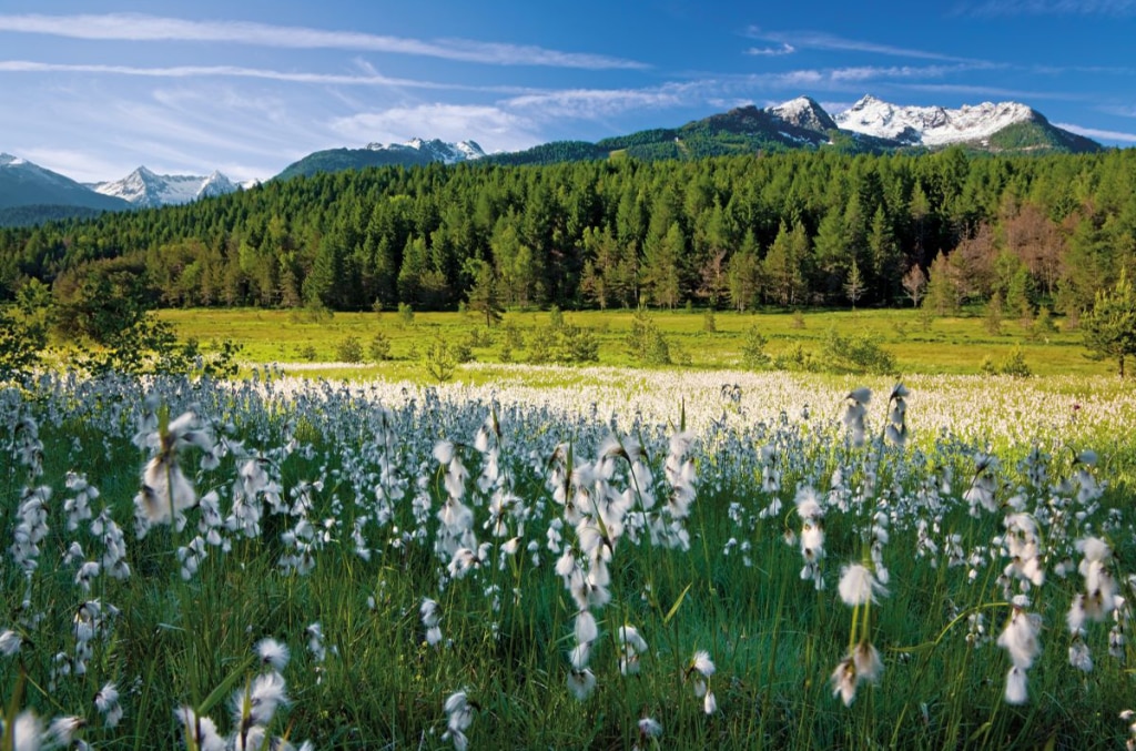 Pian di Gembro, ad Aprica. Foto Elio Della Ferrera_