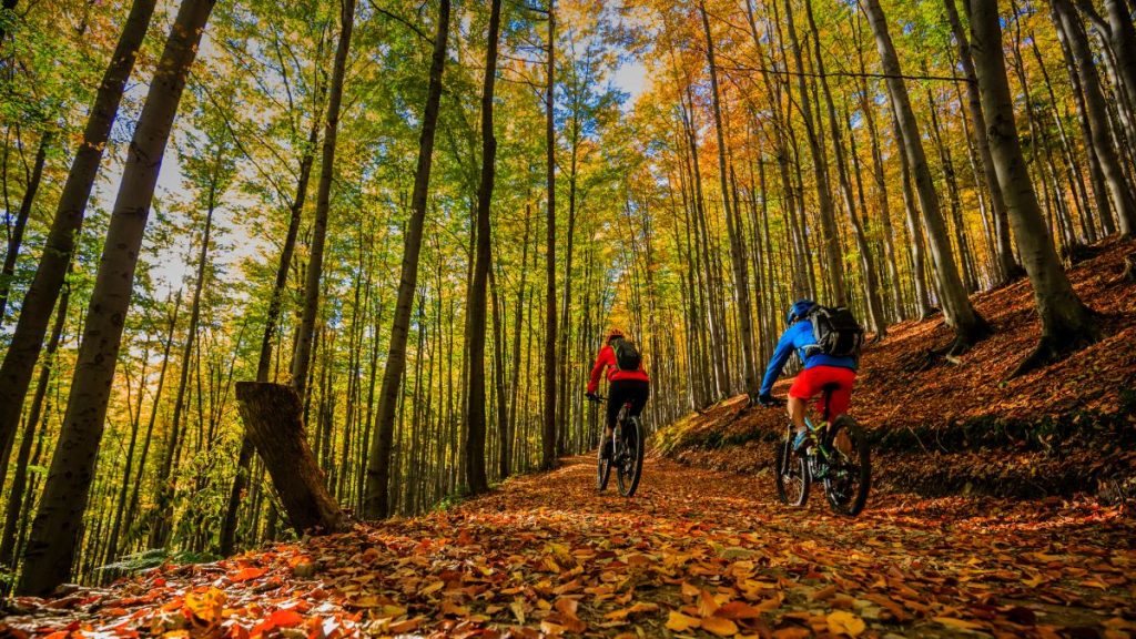 Autunno in bici @AdobeStock