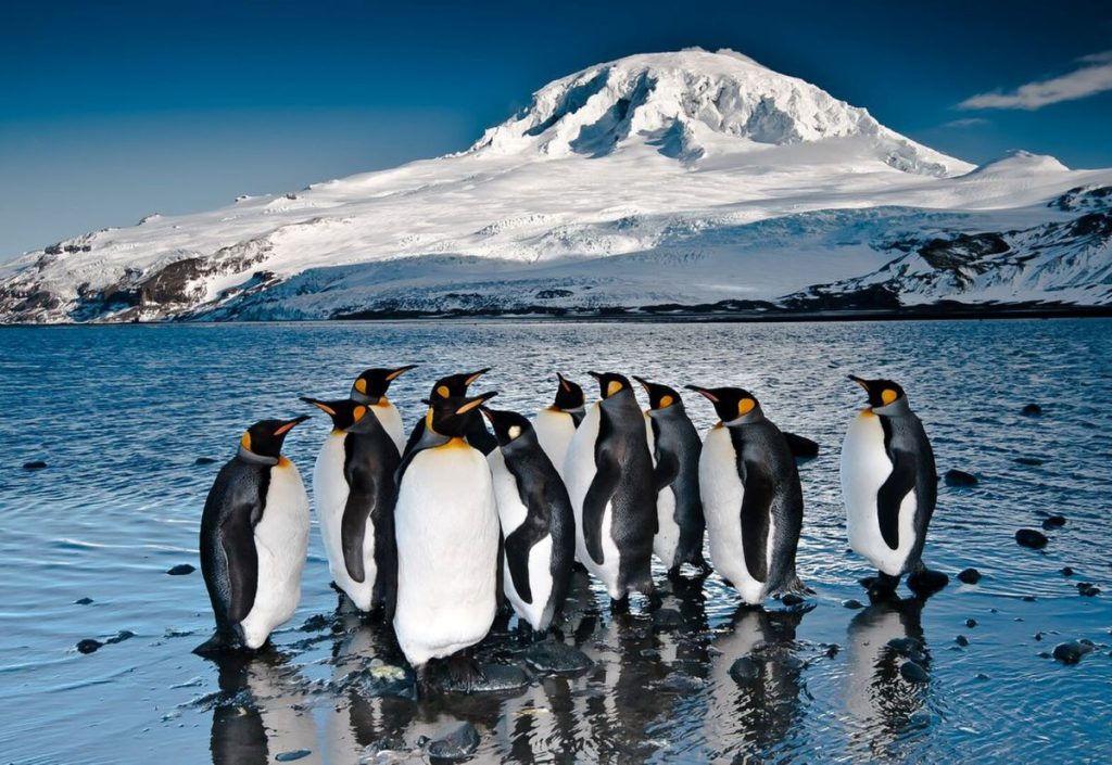 Dal film The Great white Whale