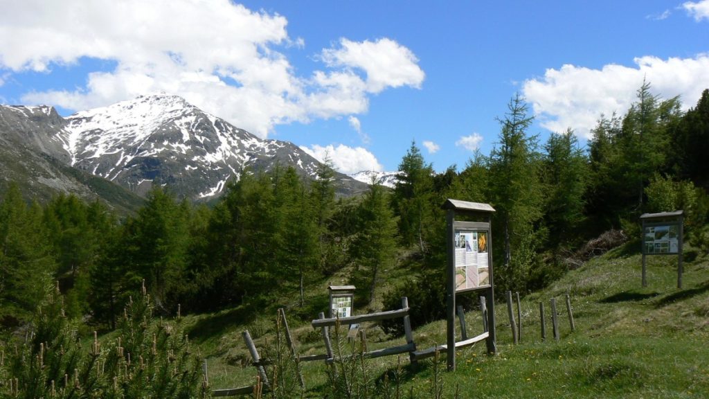Il Giardino alpino Valcava, sull