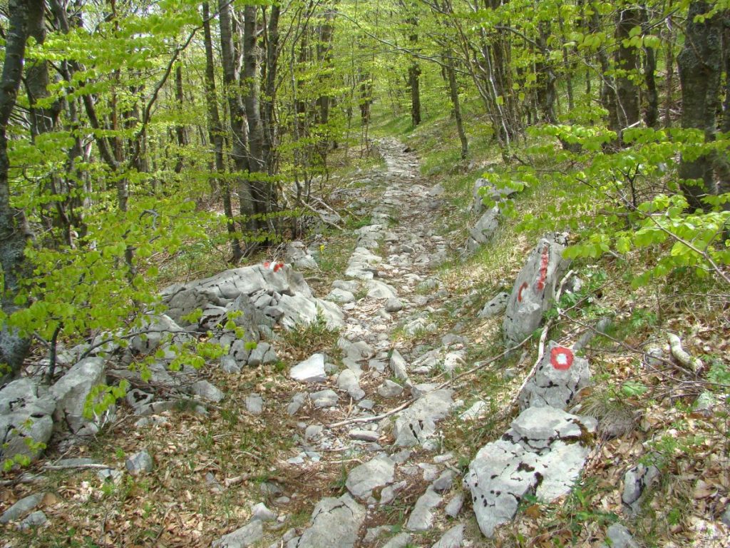 Il Premužić Trail @ PP Velebit