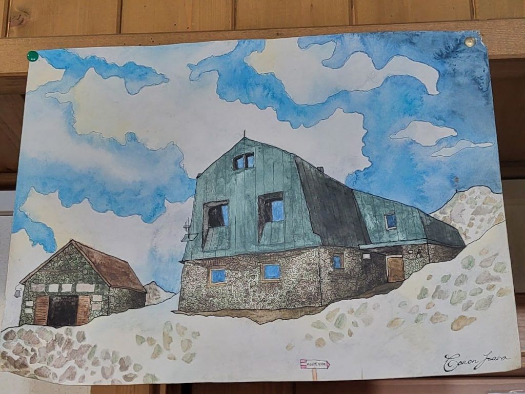 Il Vioz ritratto da un ospite