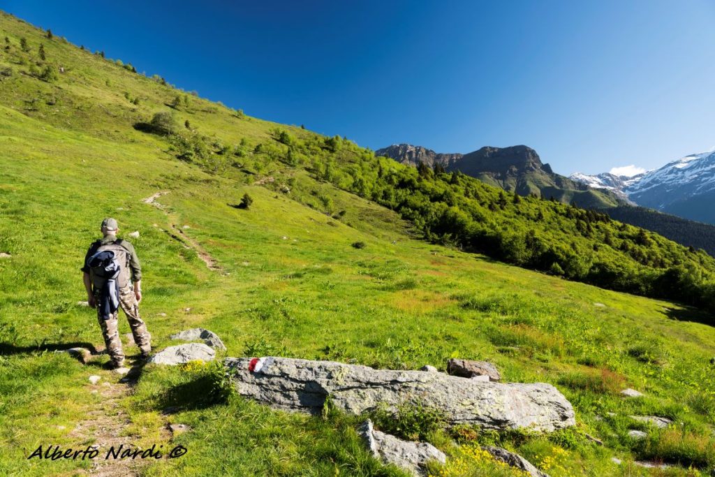 Il sentiero che porta ai laghi di Cardeto. Foto Alberto Nardi