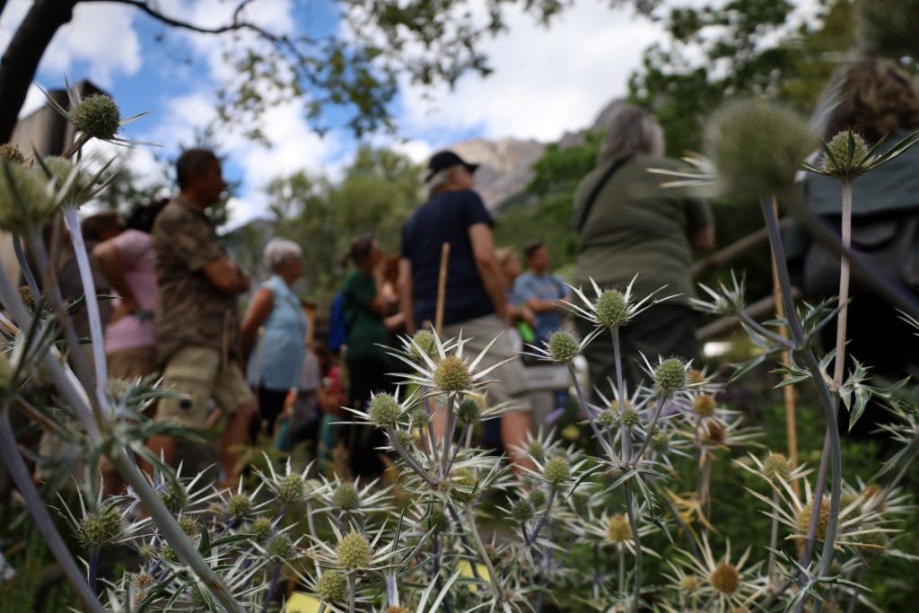 In visita @ Giardino Botanico Alpino Rezia