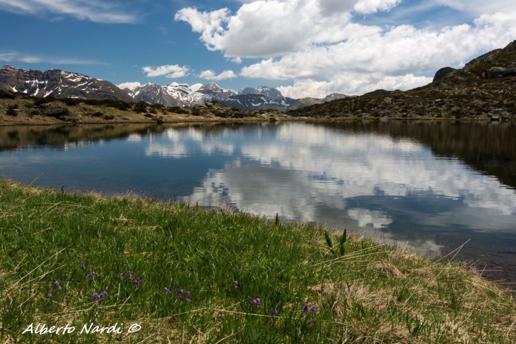Lago di Cardeto alto. Foto Alberto Nardi