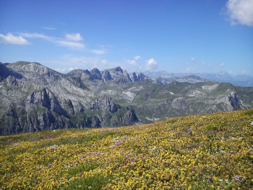 Le pendici del Seirasso Foto Lorenzo Volpe