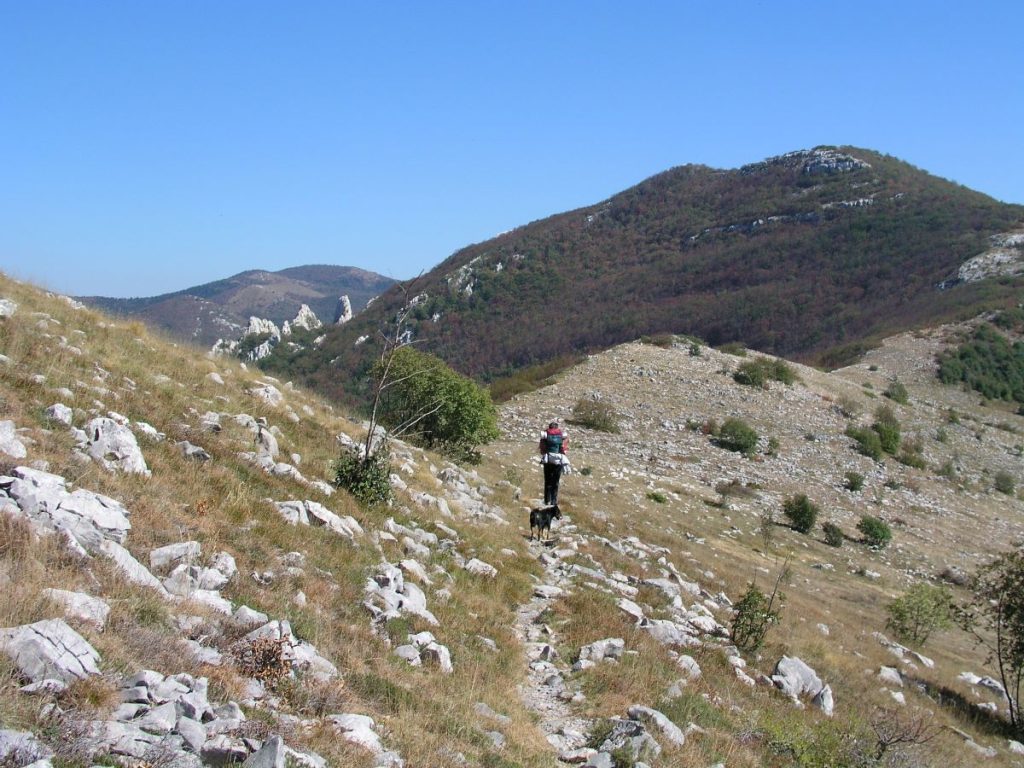 Lungo il Premuzic Trail @ PP Velebit