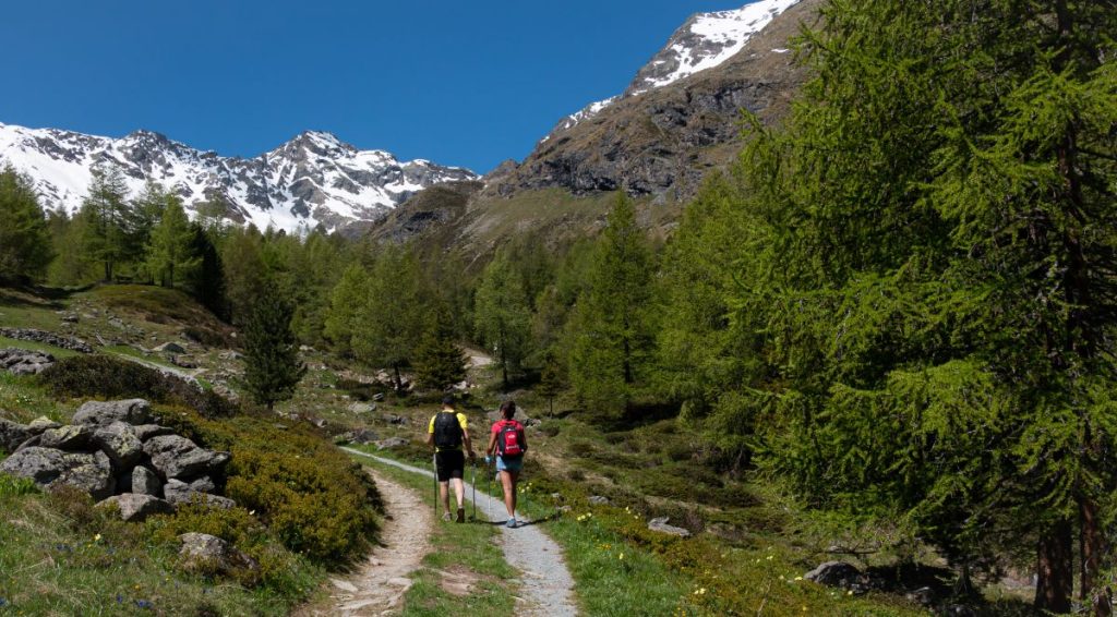 Lungo il facile senteiro che porta al Lago di Campaccio , Valdisotto @Valdisotto Tourism