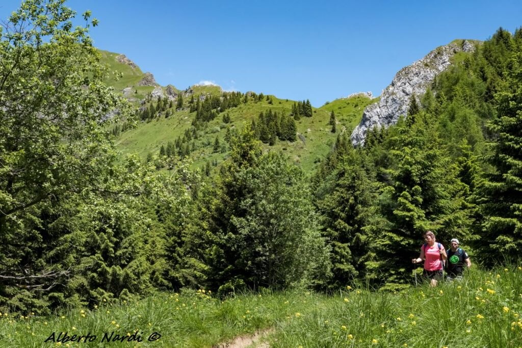 Lungo il tratto iniziale della salita per il Rifugio Dal Piaz. Foto Alberto Nardi
