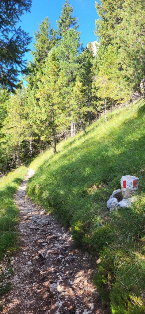 Lungo la parte iniziale del Sentiero delle scalette. Foto Monica Malfatti