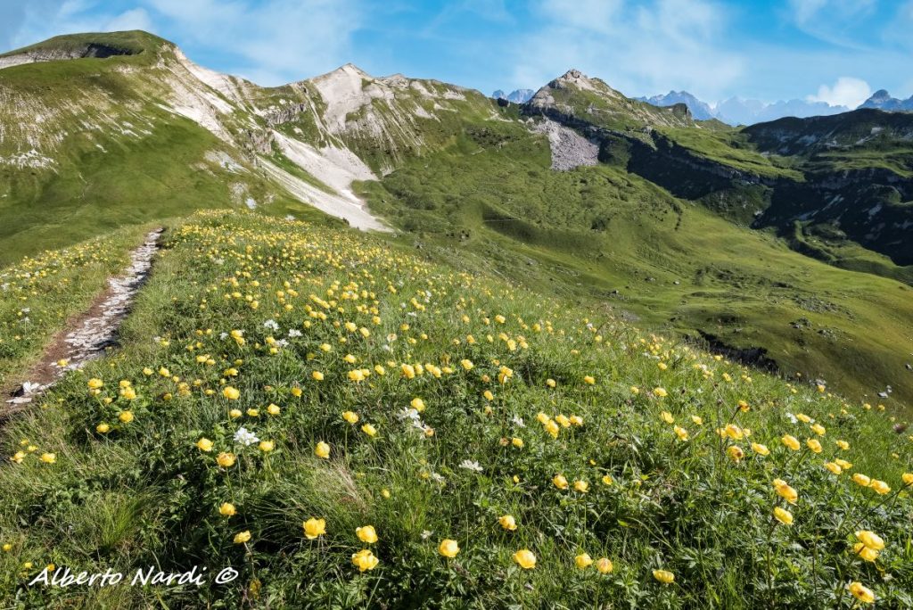 Ormai in vista del Monte Pavione (2335 m). Foto Alberto Nardi