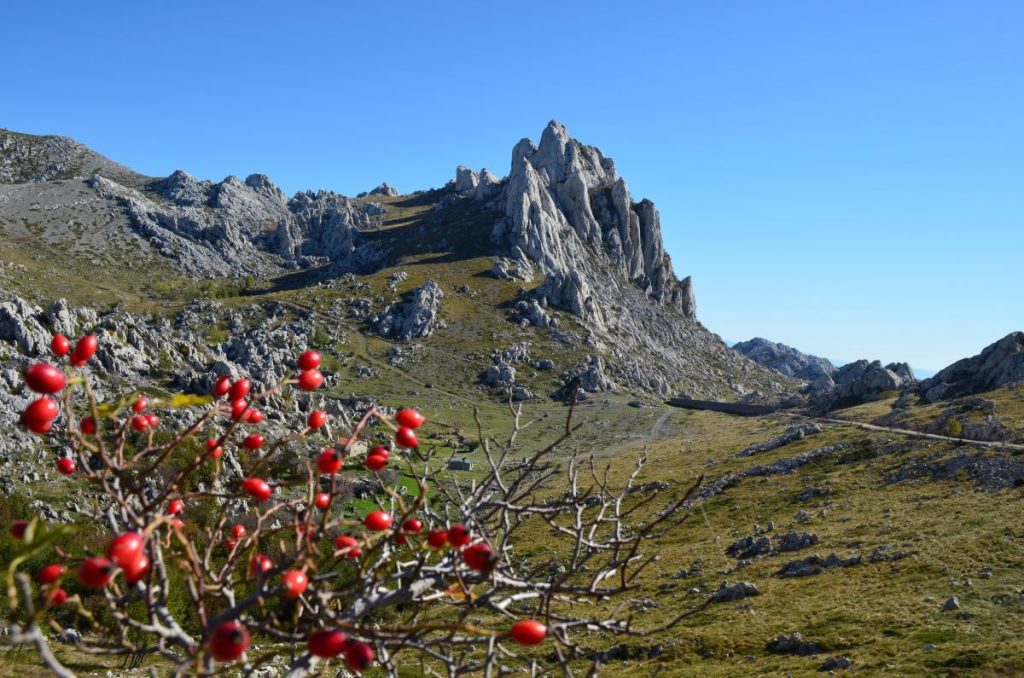 Tulove grede @ PP Velebit