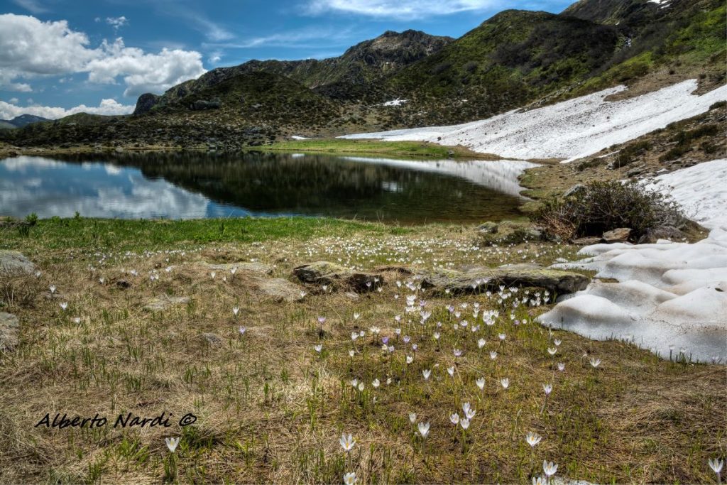 Ultima neve al Lago di Cardeto alto. Foto Alberto Nardi