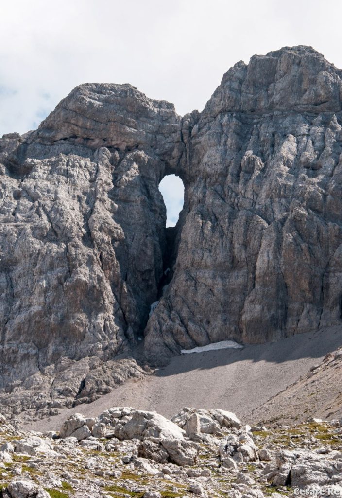 Un Tafone, nel tratto di avvicinamento alla Bocchetta dei Tre Sassi, dalla Val Gelada. Foto Cesare Re