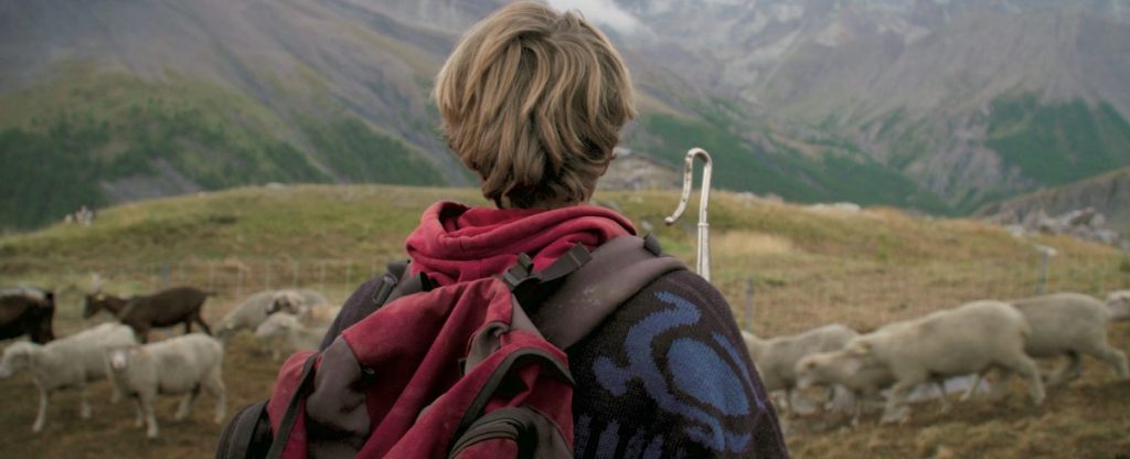 Un pasteur, recentemente premiato a Trento