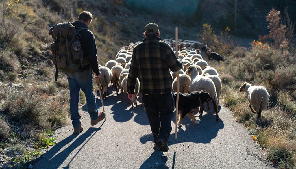 Vivre avec les loups di Jean Michel Bertrand