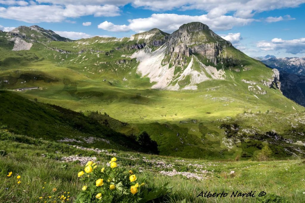 Salendo verso il Monte Pavione. Sullo sfondo, da sinsistra, la Cima Dodici, il Monte Pietena e Vette Piccole. Foto Alberto Nardi
