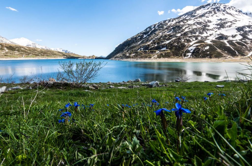 Il lago di Montespluga @ Consorzio Turistico Madesimo