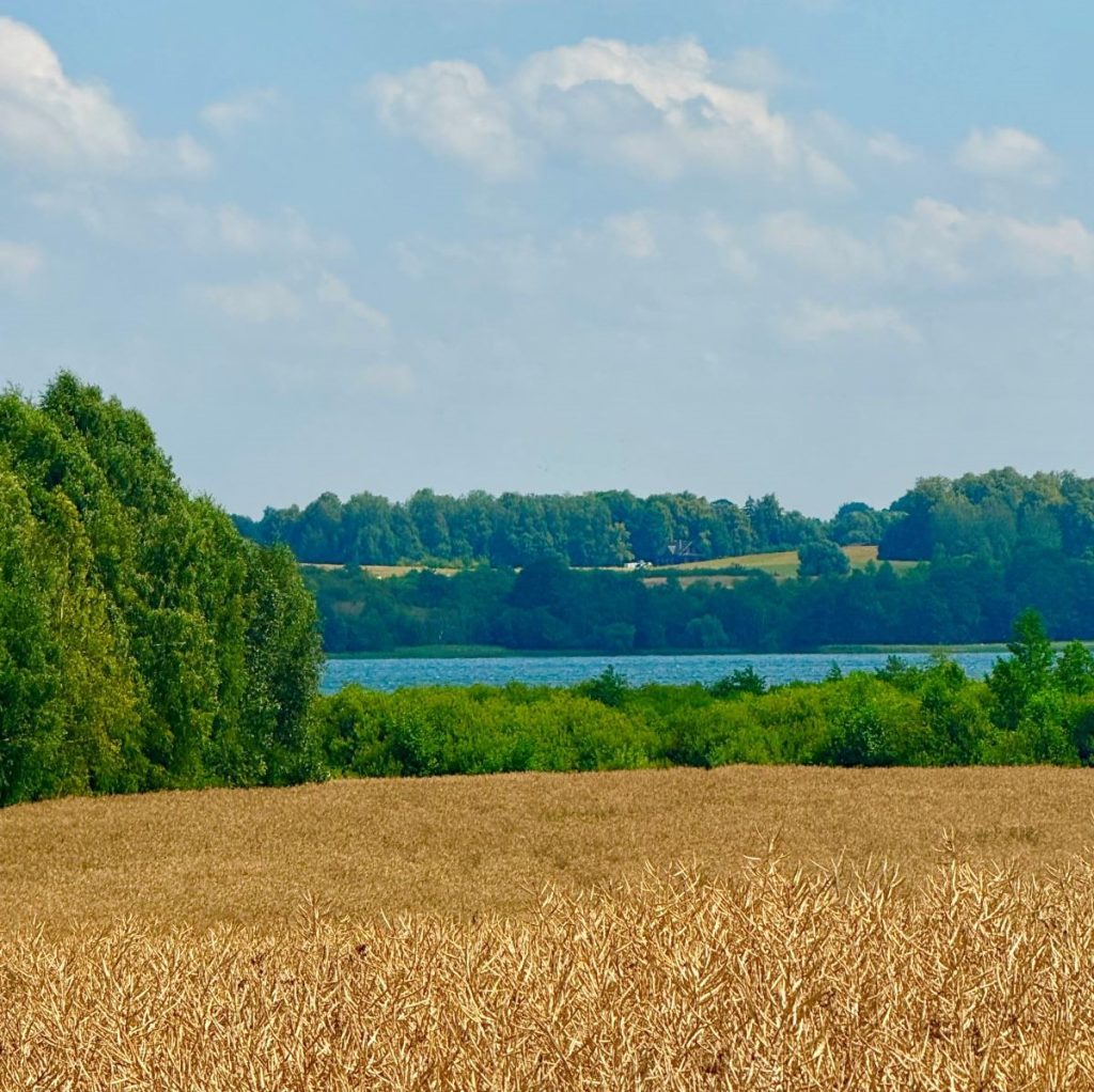 Lungo il Camino Lituano