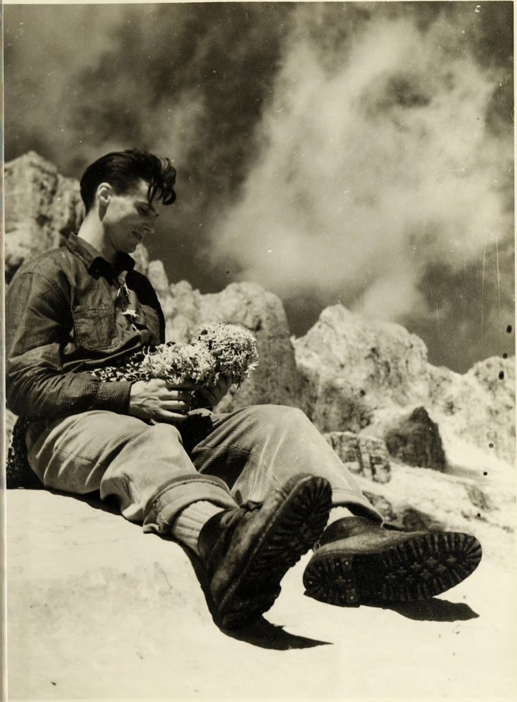 Armando aste con un mazzo di stelle alpine, collezione Maurizio Gentilini