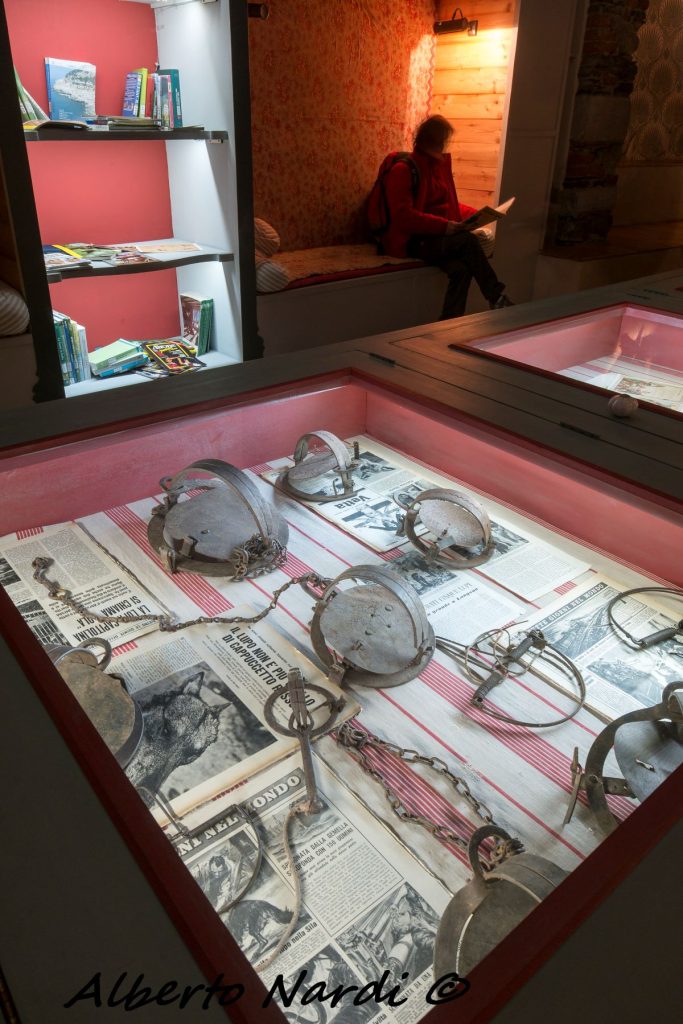 Esposizione di tagliole al Centro Uomini e Lupi di Entracque. Foto Alberto Nardi