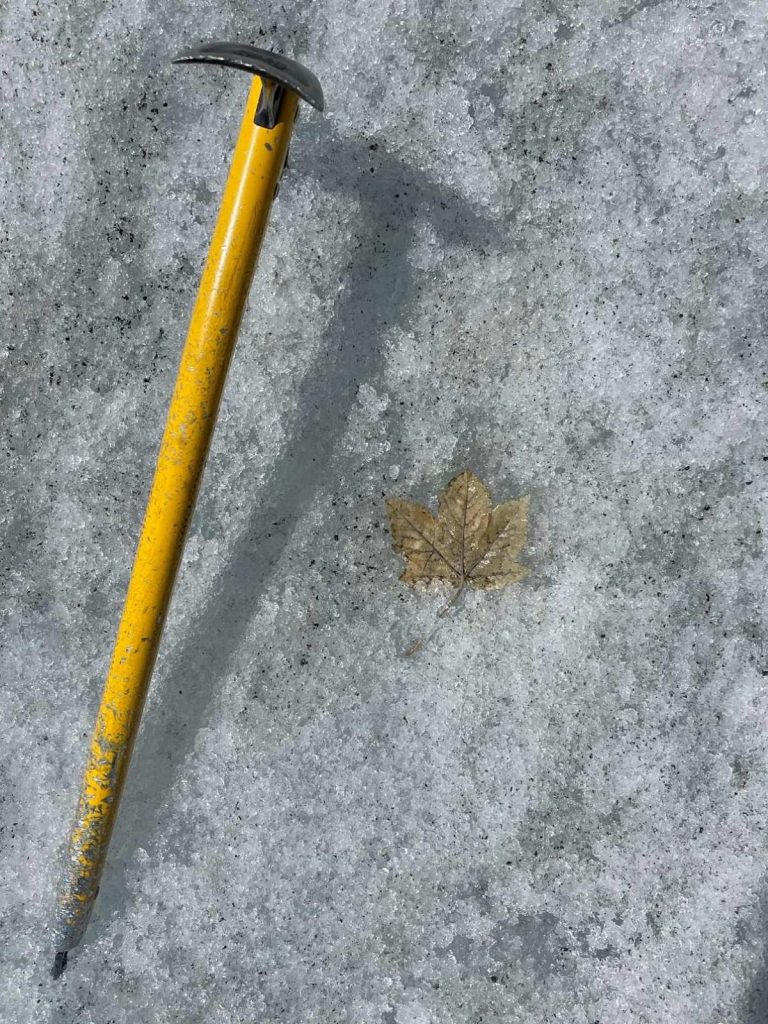 FAREDI. Foto Michele Comi