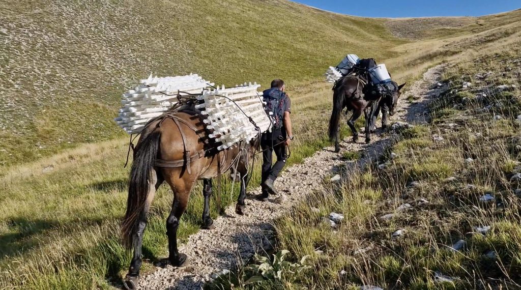 I muli sul sentiero, foto Parco nazionale dei Monti Sibillini