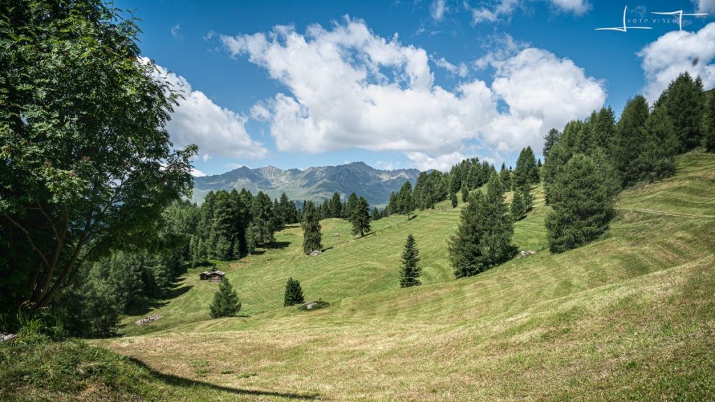 I prati oltre i 2000 metri curati come giardini. Foto Luigi Tassi