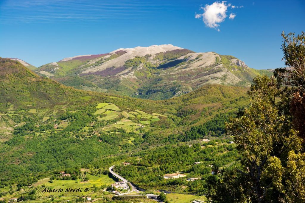 Il Monte Cervati visto dal Monte San Michele. Foto Alberto Nardi