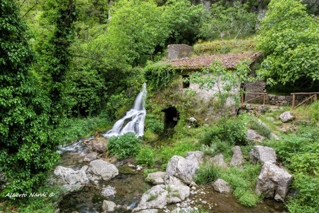Il mulino sul fiume Bussento. Foto Alberto Nardi